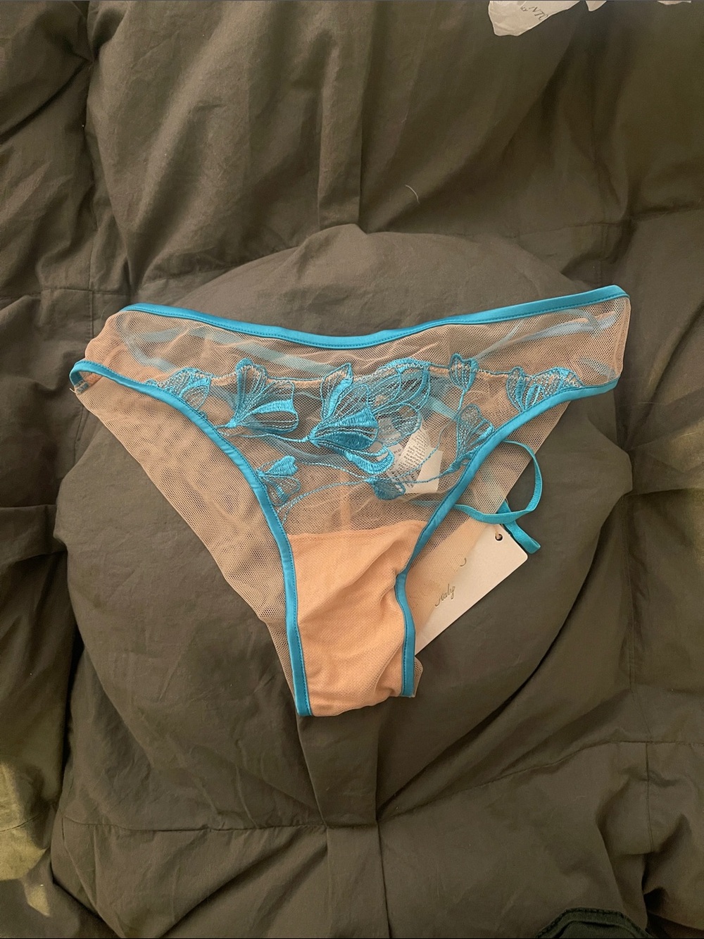 Sheer Embroidered Bikini Panty in Nude with Turquoise Trim